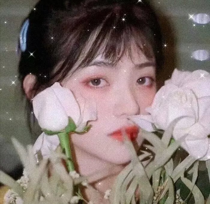 挑灯斩蛇录