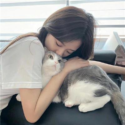 芒果和红色轮椅